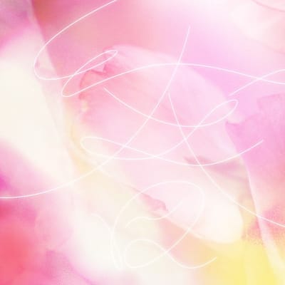 我推的歌 EP.21
